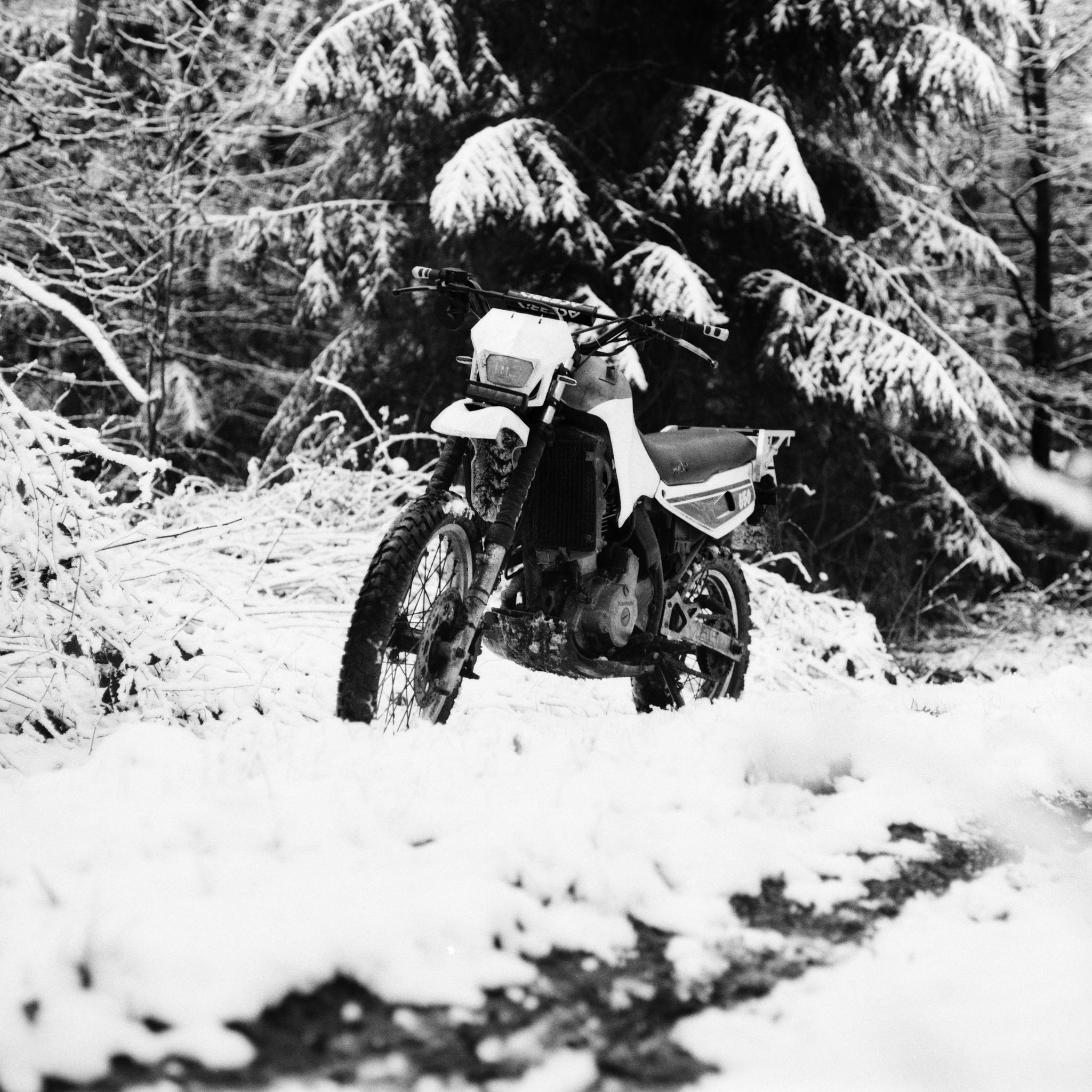 Snowy Tengai